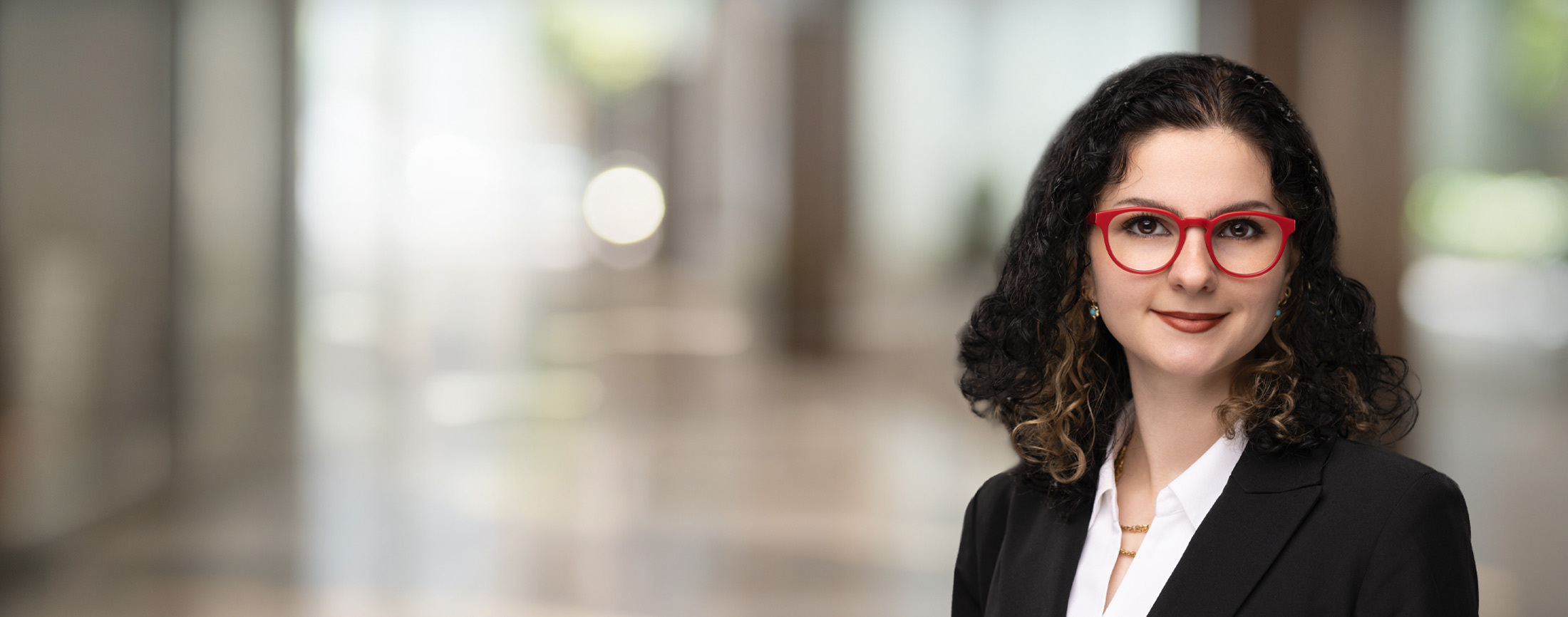 Constantina Palamaris, Osterbrock & Associates, LLC Photo